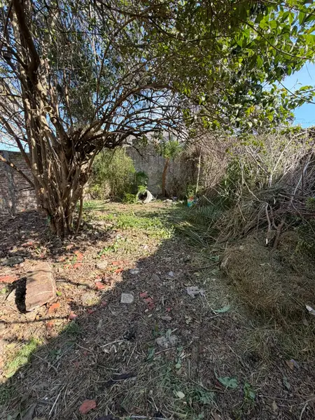 Foto 8