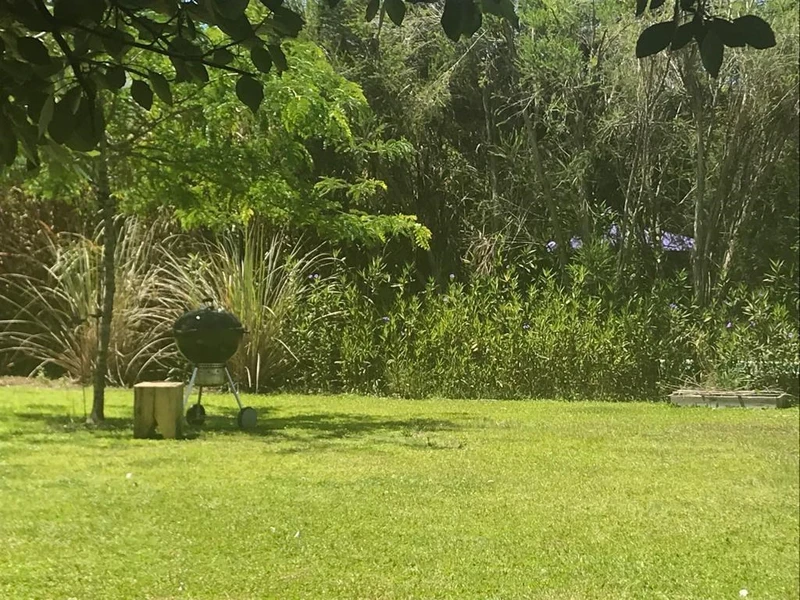 Foto 19