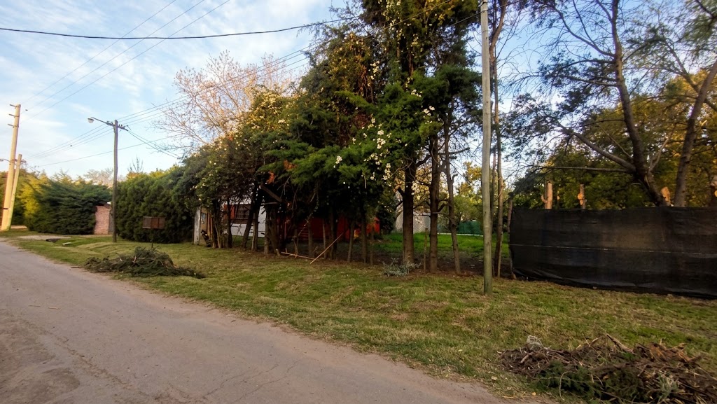 Foto 4