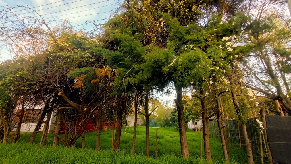 Foto 6