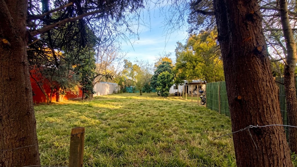Foto 7