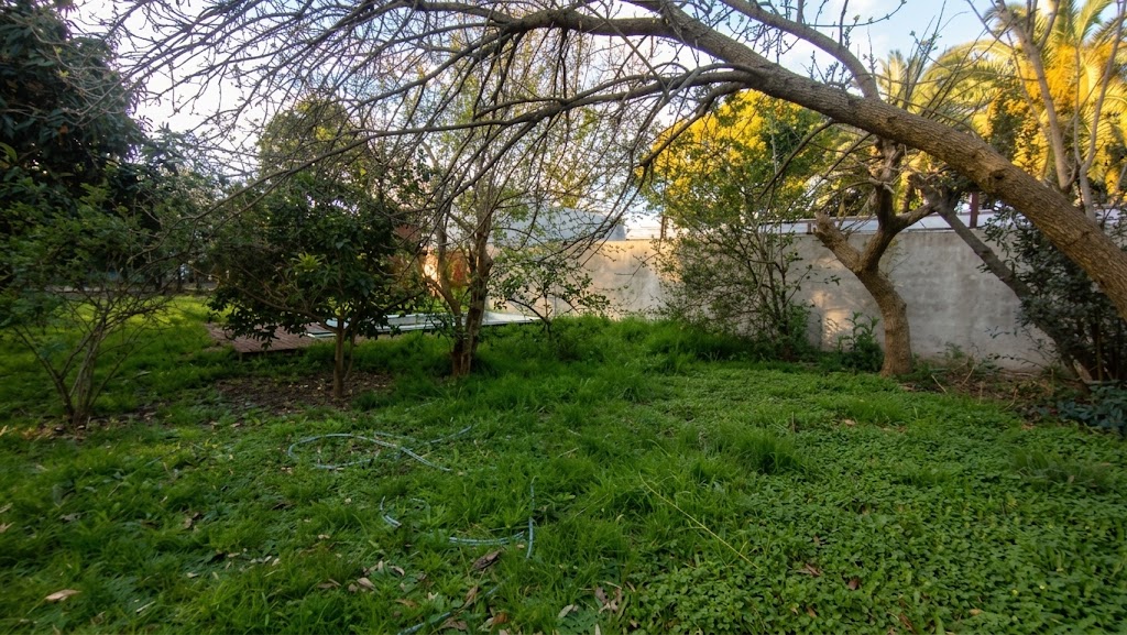 Foto 12