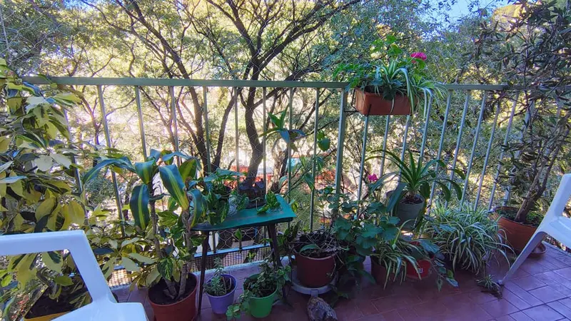 Foto 14