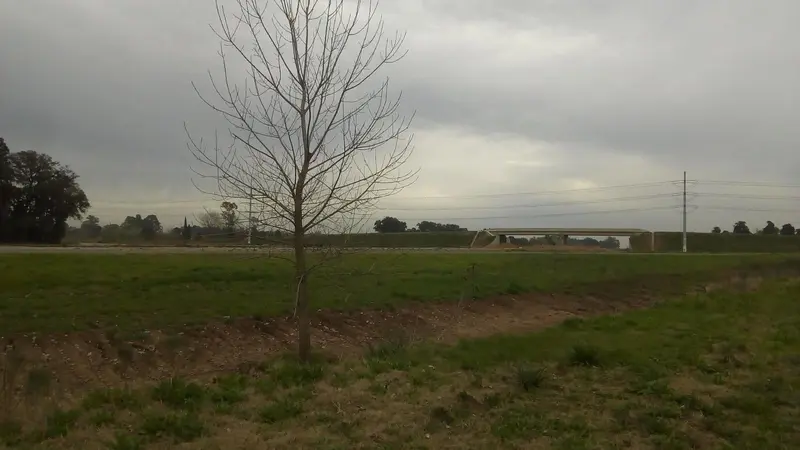 Foto 9