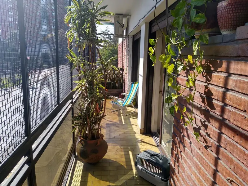 Foto 11