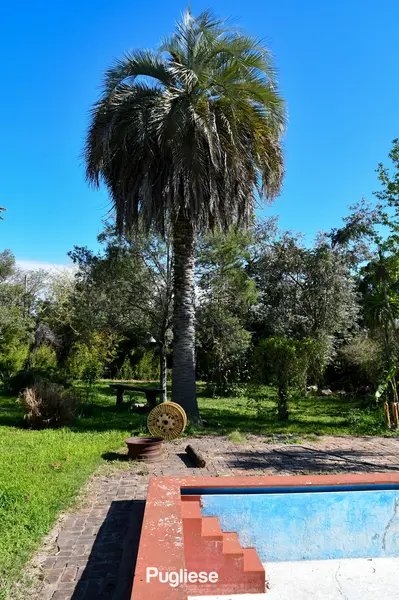 Foto 6