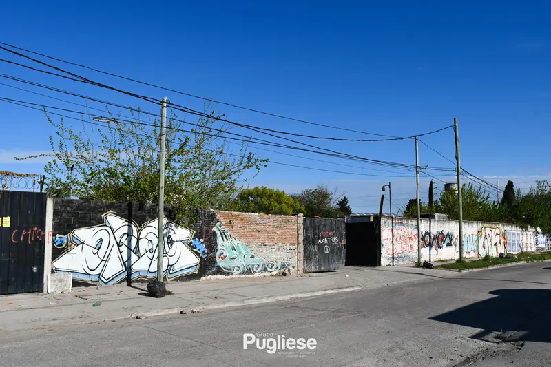 Foto 6