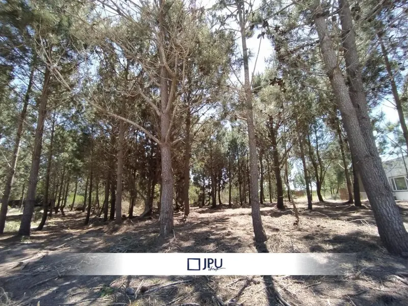 Terreno en venta · Costa Esmeralda, Punta Medanos, La Costa, Costa Atlántica, Provincia de Buenos Aires