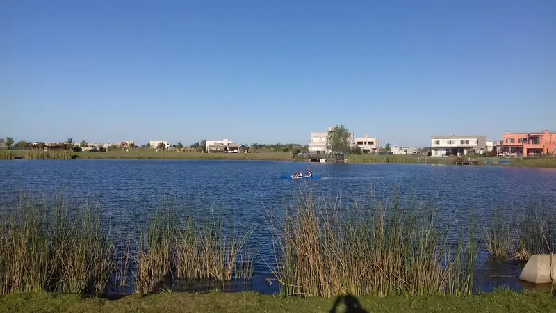 Foto 7