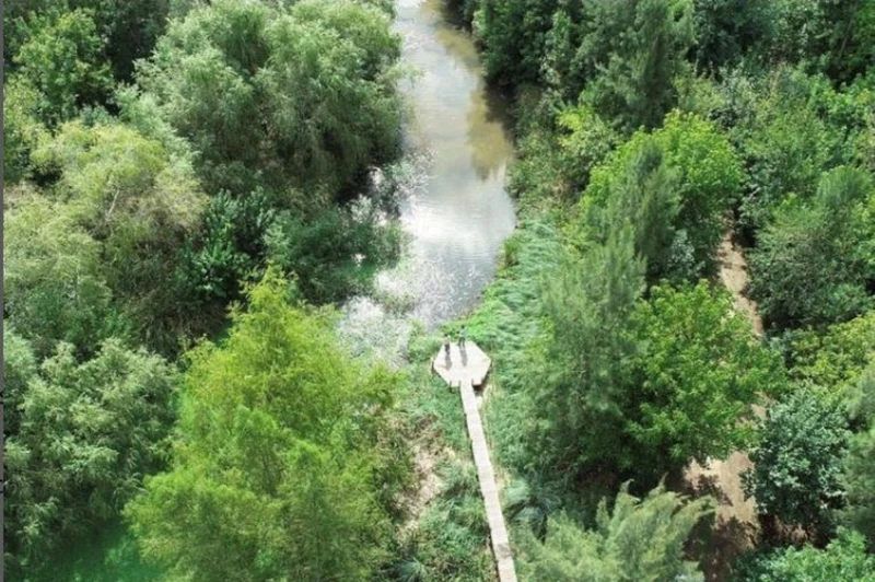 Foto 11