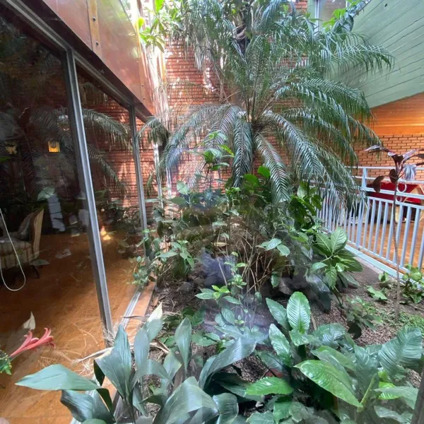 Foto 7