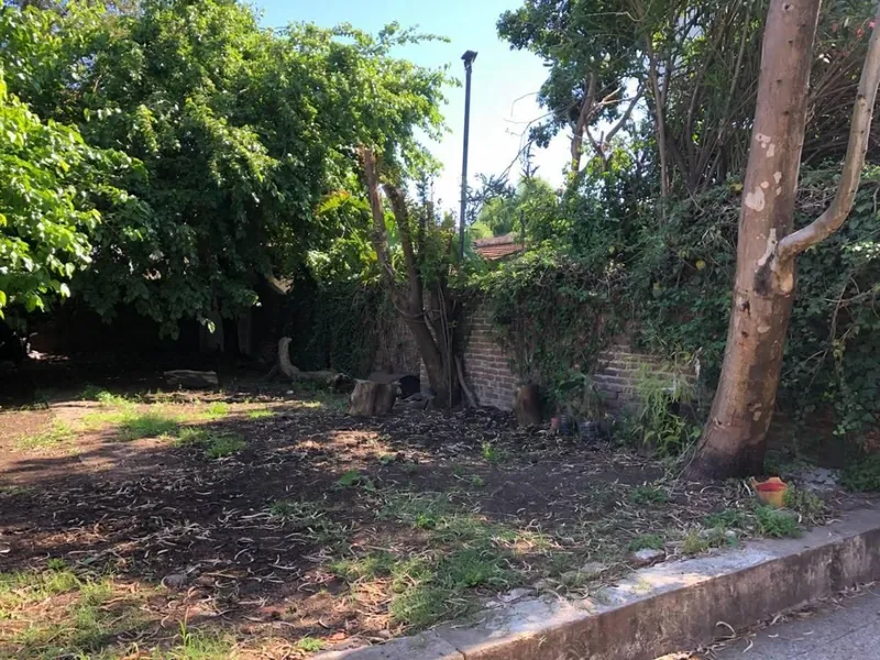 Foto 19