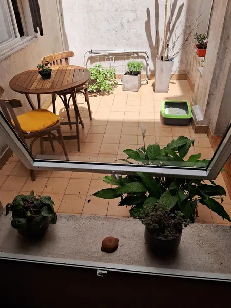 Foto 41