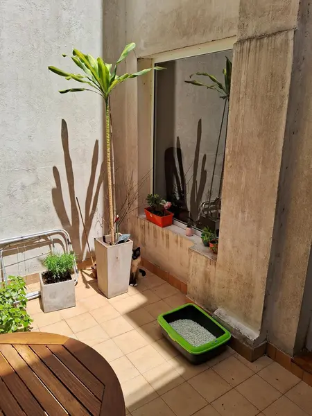 PH en venta · Palermo, CABA