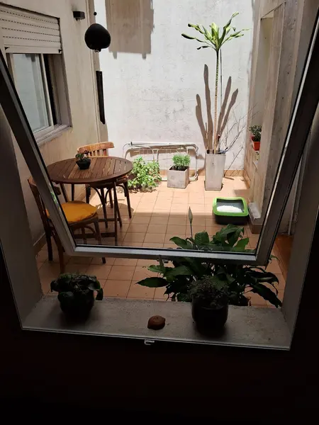 Foto 14