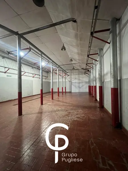 Foto 15