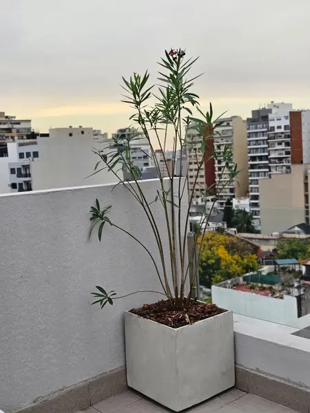 Foto 24