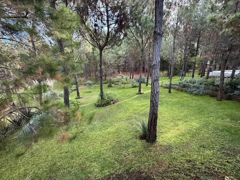 Foto 21