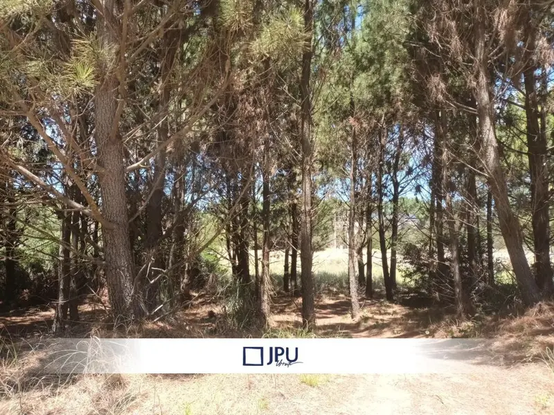 Terreno en venta · Costa Esmeralda, Punta Medanos, La Costa, Costa Atlántica, Provincia de Buenos Aires