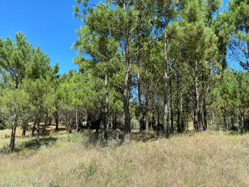 Terreno en venta · Costa Esmeralda, Punta Medanos, La Costa, Costa Atlántica, Provincia de Buenos Aires