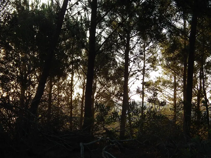 Foto 16