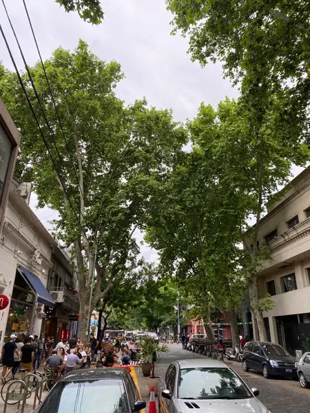 Foto 16