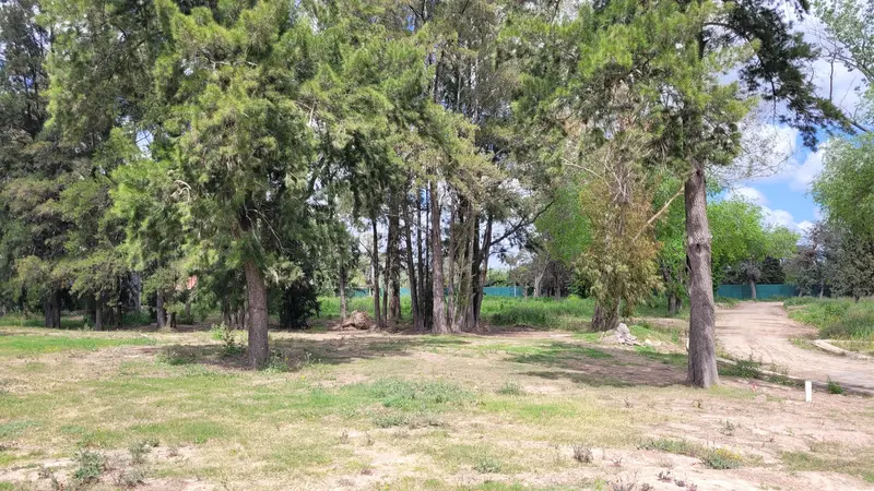 Foto 18