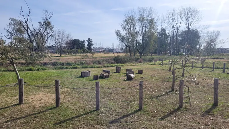 Foto 48