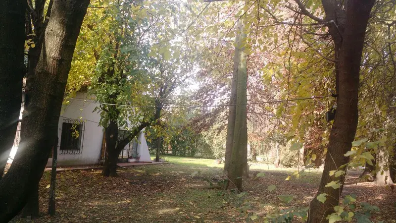 Foto 9