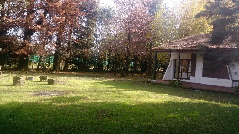 Foto 10