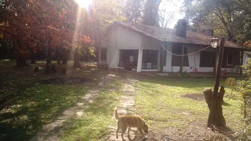 Foto 8