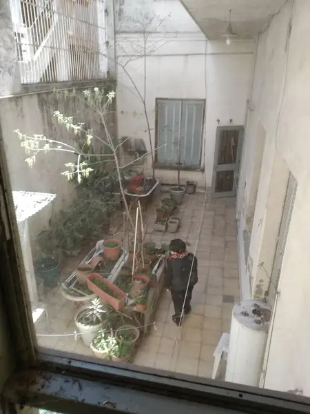 Foto 8