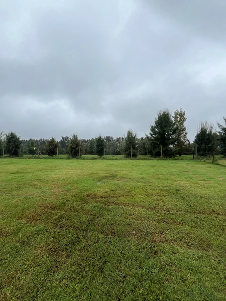 Terreno en venta · Los Castaños, Nordelta, Tigre, GBA Norte, Provincia de Buenos Aires