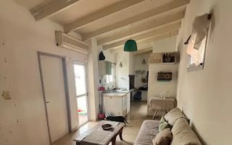 Foto 7