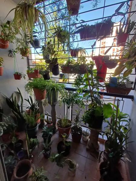 Foto 16