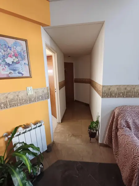 Foto 15