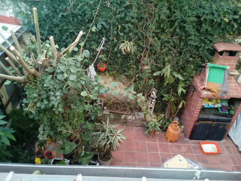 Foto 23