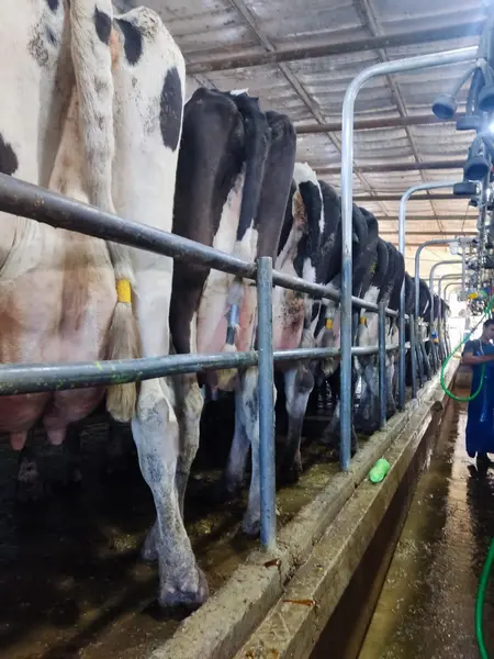 Comercio en venta · Navarro, Interior de Buenos Aires, Provincia de Buenos Aires