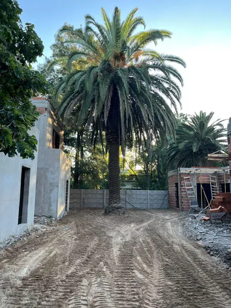 Foto 18