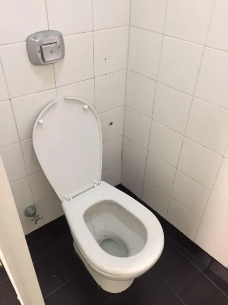 Foto 15