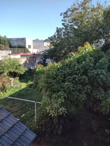 Foto 21