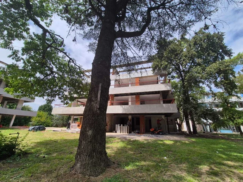 Foto 19