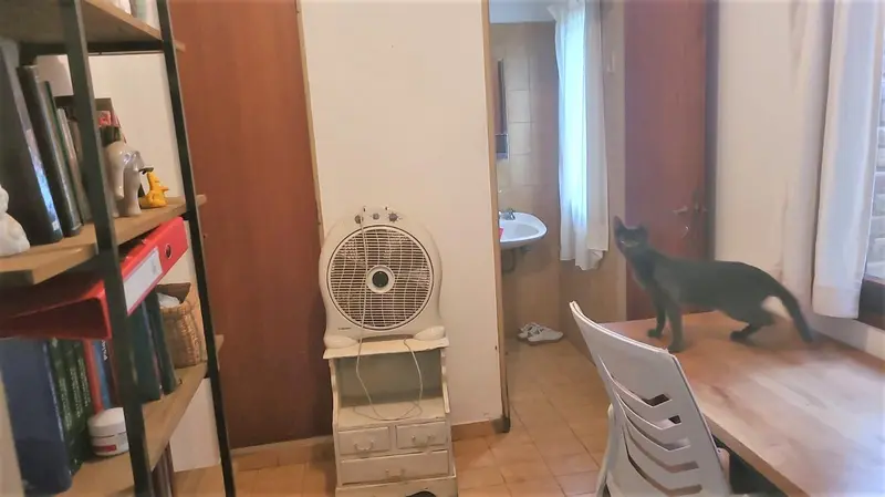 Foto 12