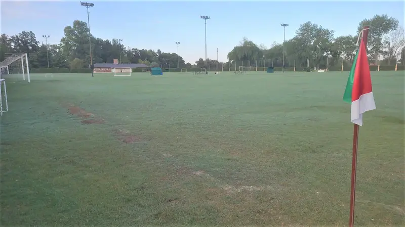 Foto 12