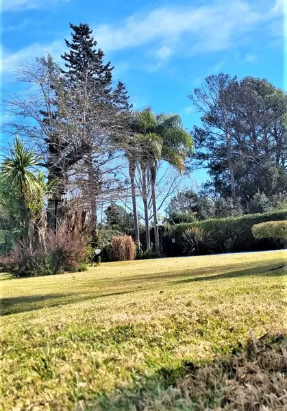 Foto 15