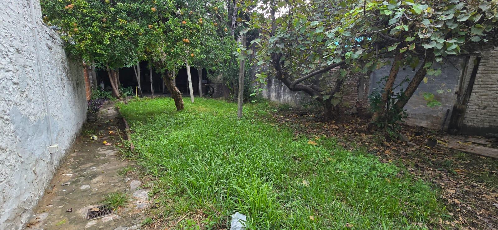 Foto 14