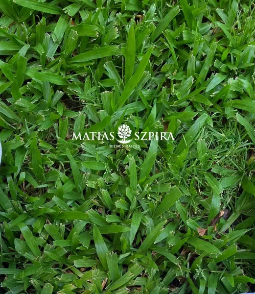 Terreno en venta · San Marcos Sierra, Cruz del Eje, Córdoba