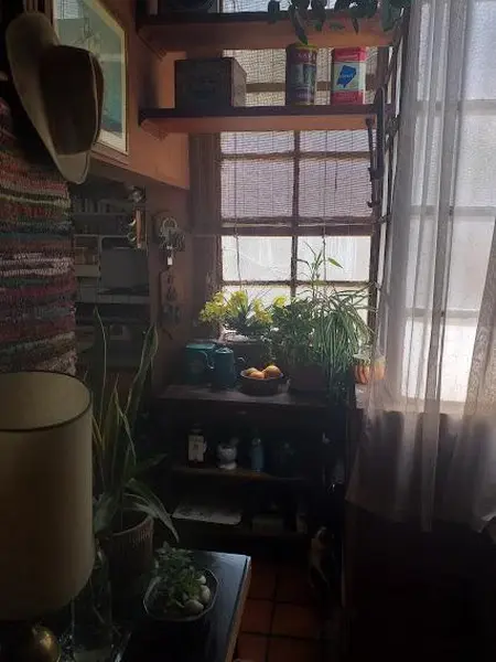 Foto 21