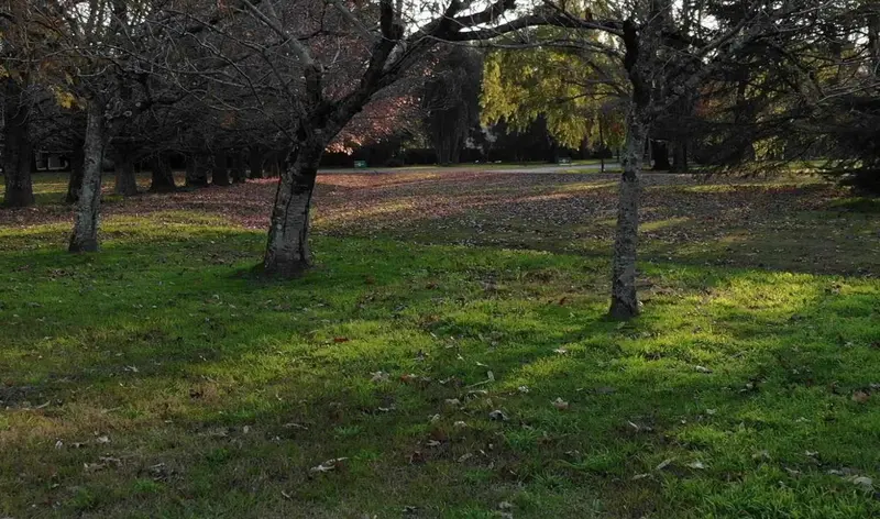 Foto 9