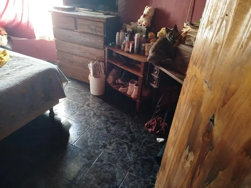 Foto 7